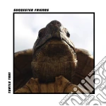 Suggested Friends - Turtle Taxi cd