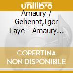 Amaury / Gehenot,Igor Faye - Amaury Faye X Igor Gehenot cd