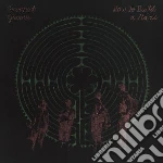 Cocoanut Groove - How To Build A Maze cd
