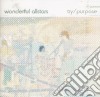 Wonderful Allstars - Try/purpose cd