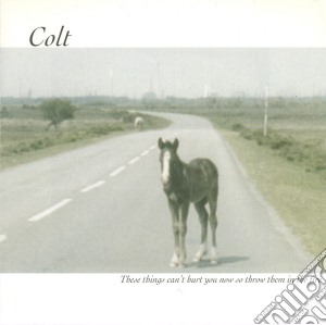 Colt - These Things Can't Hurt You Now, So Throw Them In The Fire cd musicale di Colt