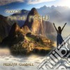 Medwyn Goodall - The Goddess Of Mach Picchu cd