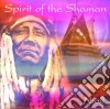Niall - Spirit Of The Shaman cd
