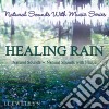 Llewellyn - Healing Rain cd