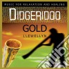 Llewellyn - Didgeridoo Gold cd