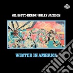 (LP VINILE) Winter in america