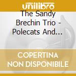 The Sandy Brechin Trio - Polecats And Dead Cats cd