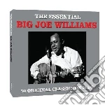 Big Joe Williams - Essential cd
