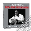 Big Joe Williams - Essential cd