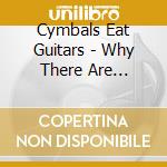 Cymbals Eat Guitars - Why There Are Mountains cd