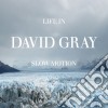 David Gray - Life In Slow Motion cd