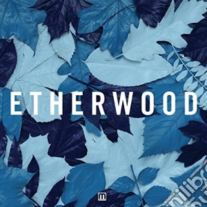 Etherwood - Blue Leaves cd musicale di Etherwood