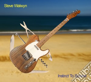 Steve Walwyn - Instinct To Survive cd musicale di Steve Walwyn