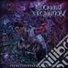 Abhorrent Decimation - Infected Celestial Utopia cd