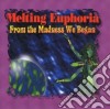 Melting Euphoria - From The Madness We Began cd