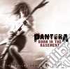 Pantera - Born In The Basement cd