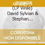 (LP Vinile) David Sylvian & Stephan Mathieu - Wandermude lp vinile