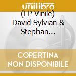 (LP Vinile) David Sylvian & Stephan Mathieu - Wandermude vinile