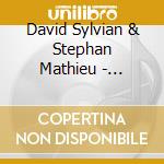 David Sylvian & Stephan Mathieu - Wandermude cd