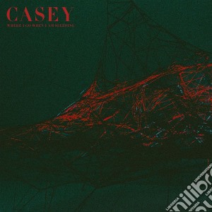 Casey - Where I Go When I Am Sleeping cd musicale di Casey