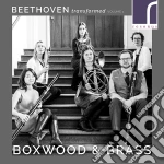 Ludwig Van Beethoven - Beethoven Transformed 1 cd