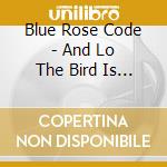 Blue Rose Code - And Lo The Bird Is On The Wing