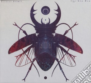 Curious Detail - Big Bug cd musicale di Curious Detail