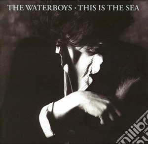 Waterboys (The) - This Is The Sea (2 Cd) cd musicale di The Waterboys