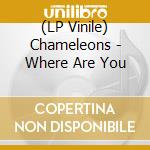 (LP Vinile) Chameleons - Where Are You cd