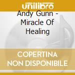 Andy Gunn - Miracle Of Healing cd musicale di Andy Gunn