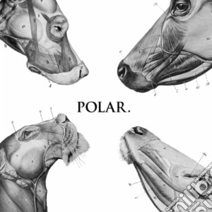 Polar - This Polar Noise cd musicale di Polar