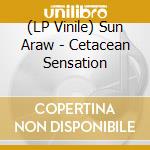 (LP Vinile) Sun Araw - Cetacean Sensation vinile