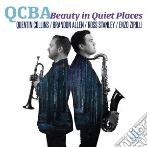 Qcba - Beauty In Quiet Places cd musicale di Qcba
