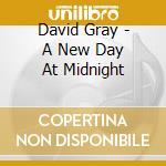 David Gray - A New Day At Midnight cd