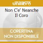 Non C'e' Neanche Il Coro cd