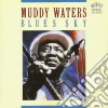 Muddy Waters - Best Of 1970'S cd