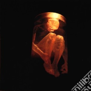Alice In Chains - Nothing Safe - The Best Of The Box cd musicale di ALICE IN CHAINS