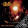 X-Ecutioners - Built From Scratch cd