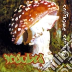 Incubus - Fungus Amongus cd