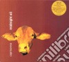 Midnight Oil - Capricornia cd