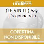 (LP VINILE) Say it's gonna rain cd