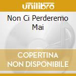 Non Ci Perderemo Mai cd