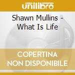 Shawn Mullins - What Is Life cd