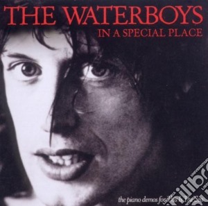 Waterboys (The) - In A Special Place cd musicale di The Waterboys