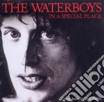 Waterboys (The) - In A Special Place cd
