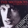 Waterboys (The) - In A Special Place cd