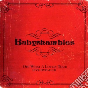 (Music Dvd) Babyshambles - Oh What A Lovely Tour (2 Dvd) cd musicale di BABYSHAMBLES