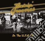 Flamin' Groovies - In The Usa '79