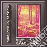 Velvet Underground (The) - The End Of Cole Avenue - The First Night (2Cd) cd