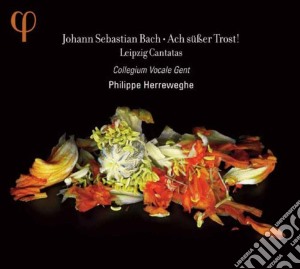 Johann Sebastian Bach - Ach Suber Trost cd musicale di Johann Sebastian Bach